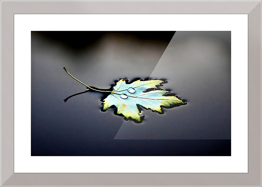 2794 Picture Frame print