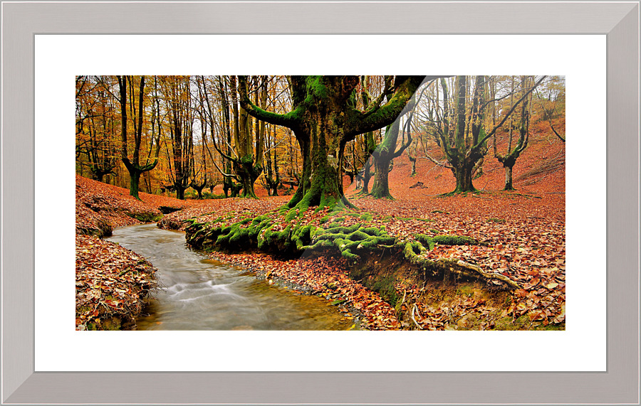 2831 Picture Frame print