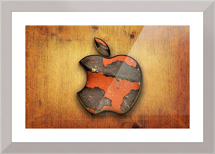 2841 Picture Frame print