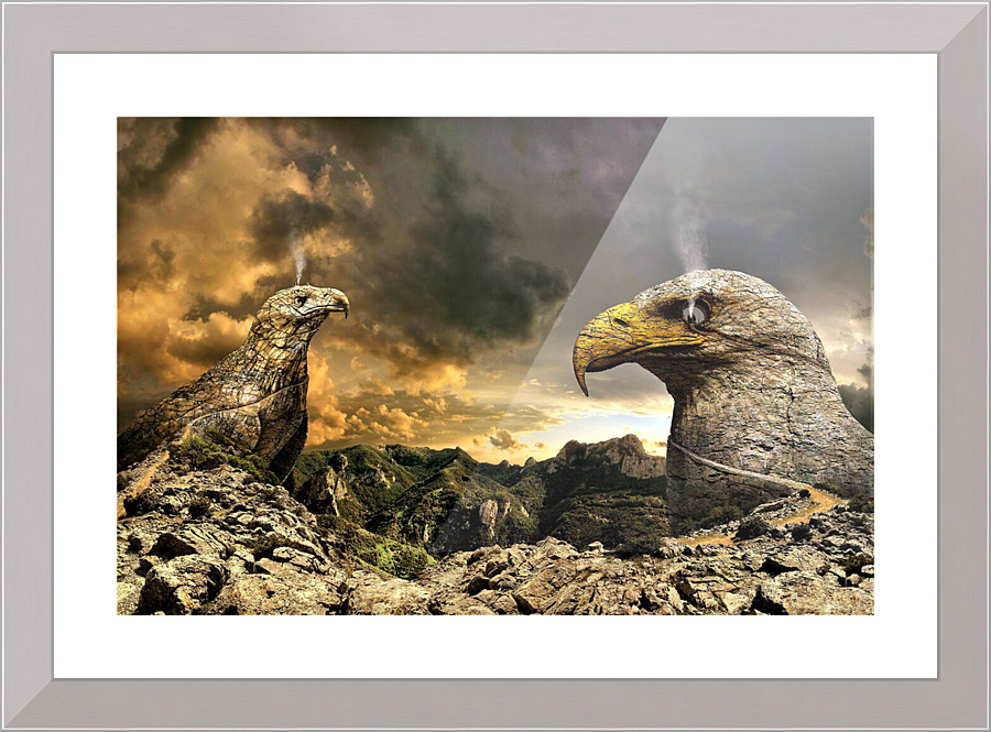 2842 Picture Frame print