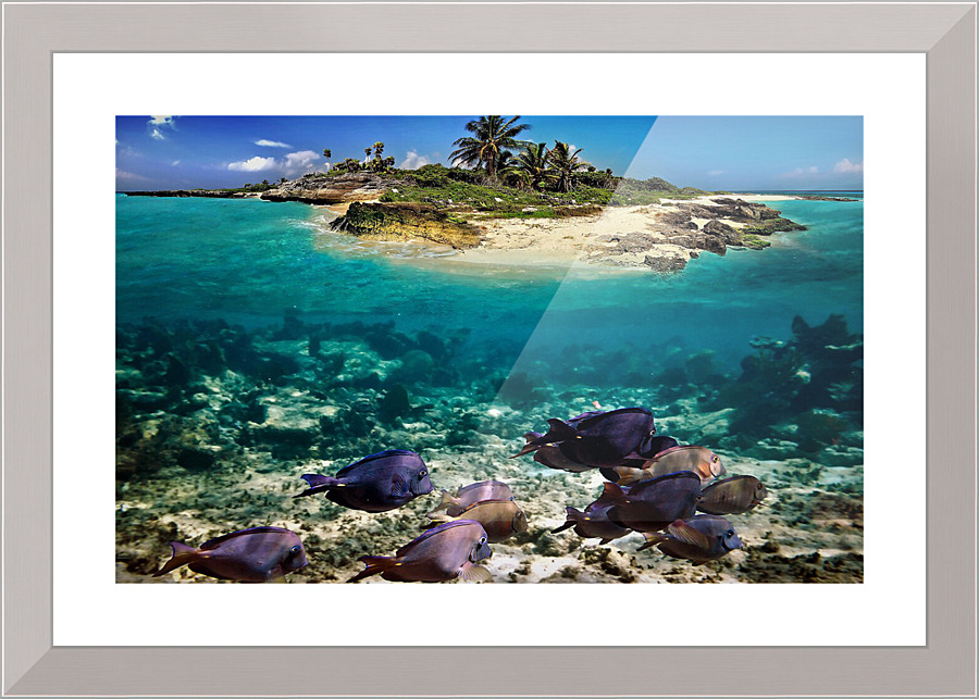 2849 Picture Frame print