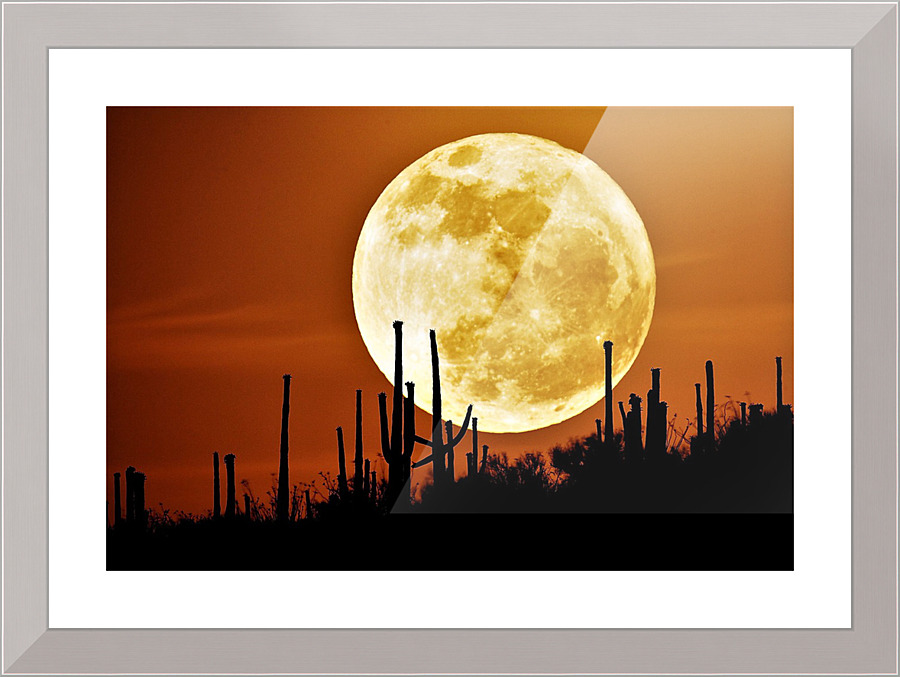 2885 Picture Frame print