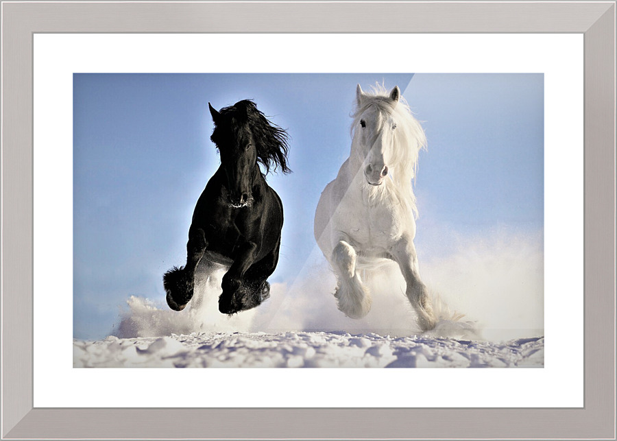2892 Picture Frame print