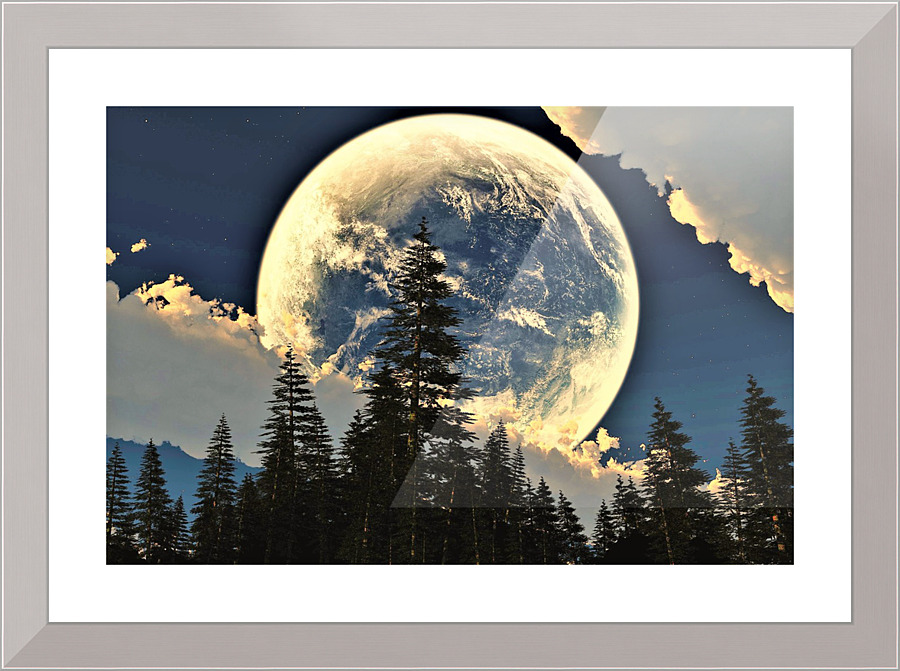 2894 Picture Frame print