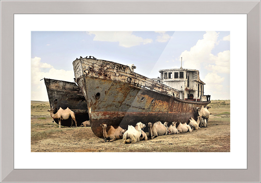 2908 Picture Frame print