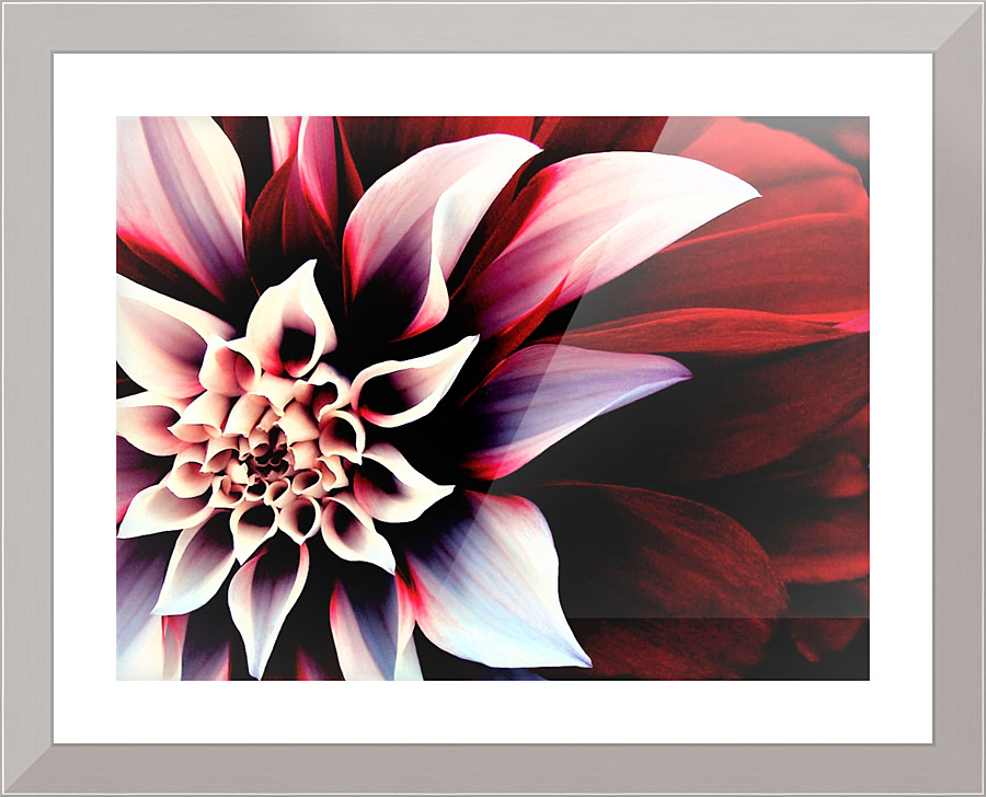 2920 Picture Frame print