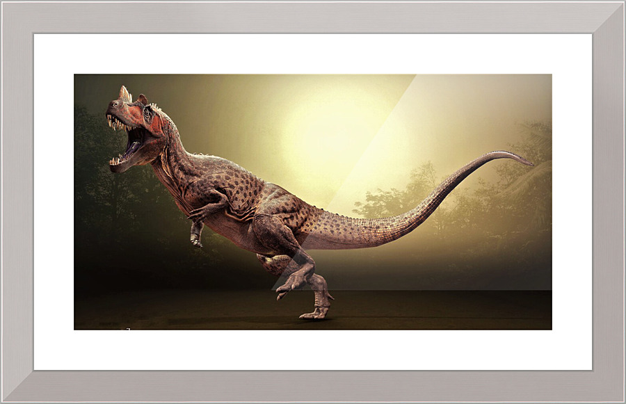 2927 Picture Frame print