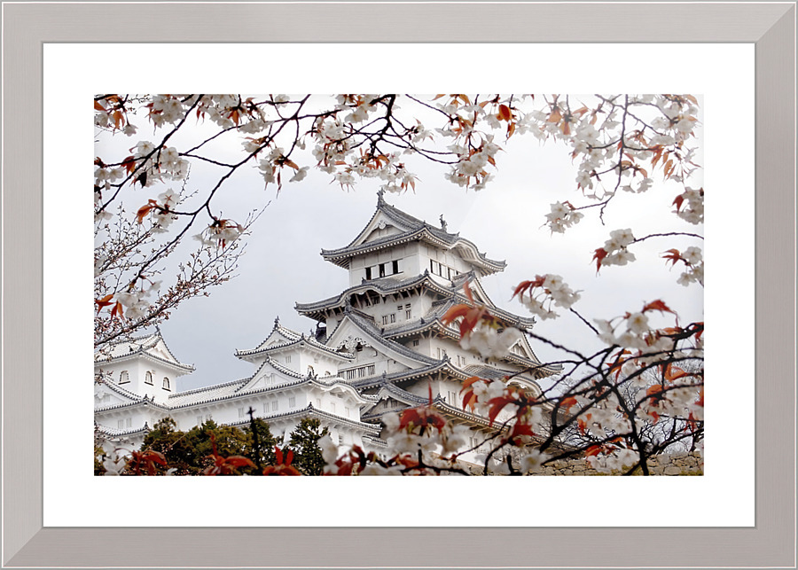 2991 Picture Frame print