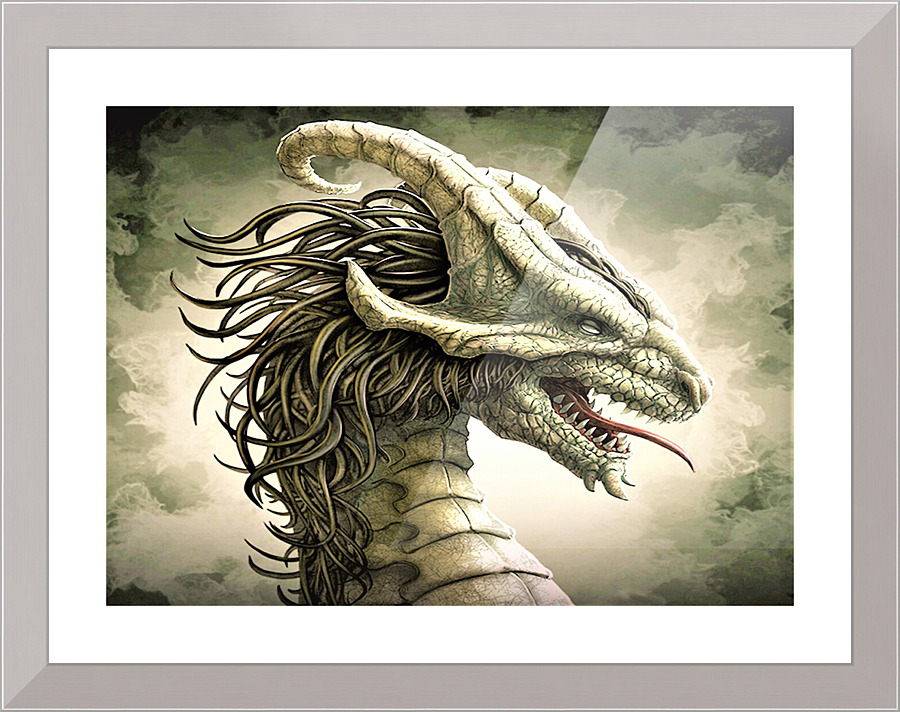 3010 Picture Frame print