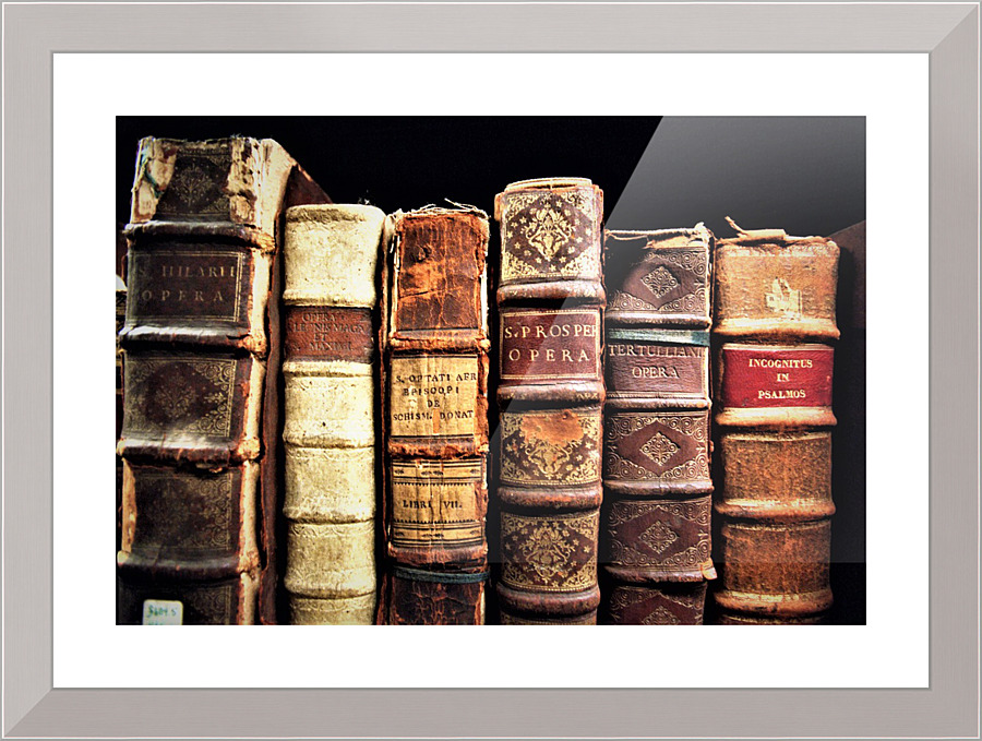 3011 Picture Frame print