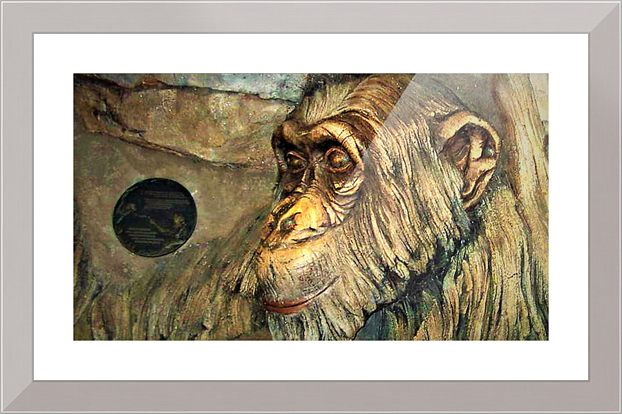 3023 Picture Frame print