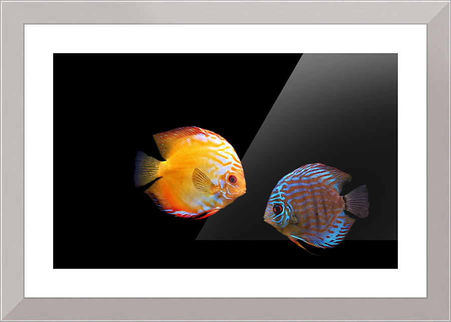 3033 Picture Frame print
