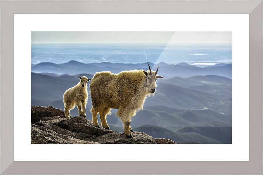 3051 Picture Frame print