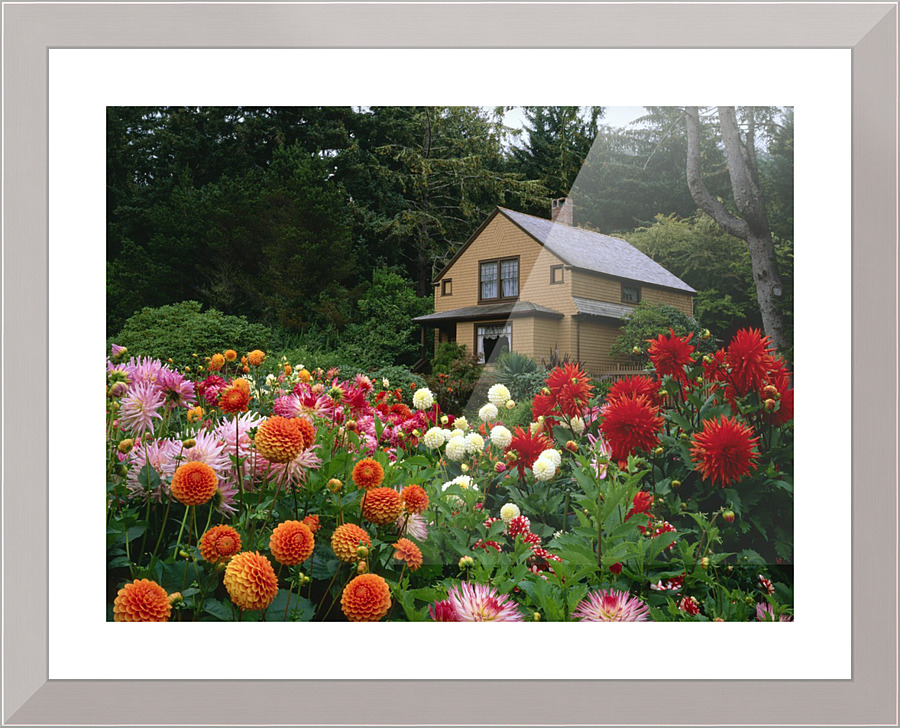 3054 Picture Frame print