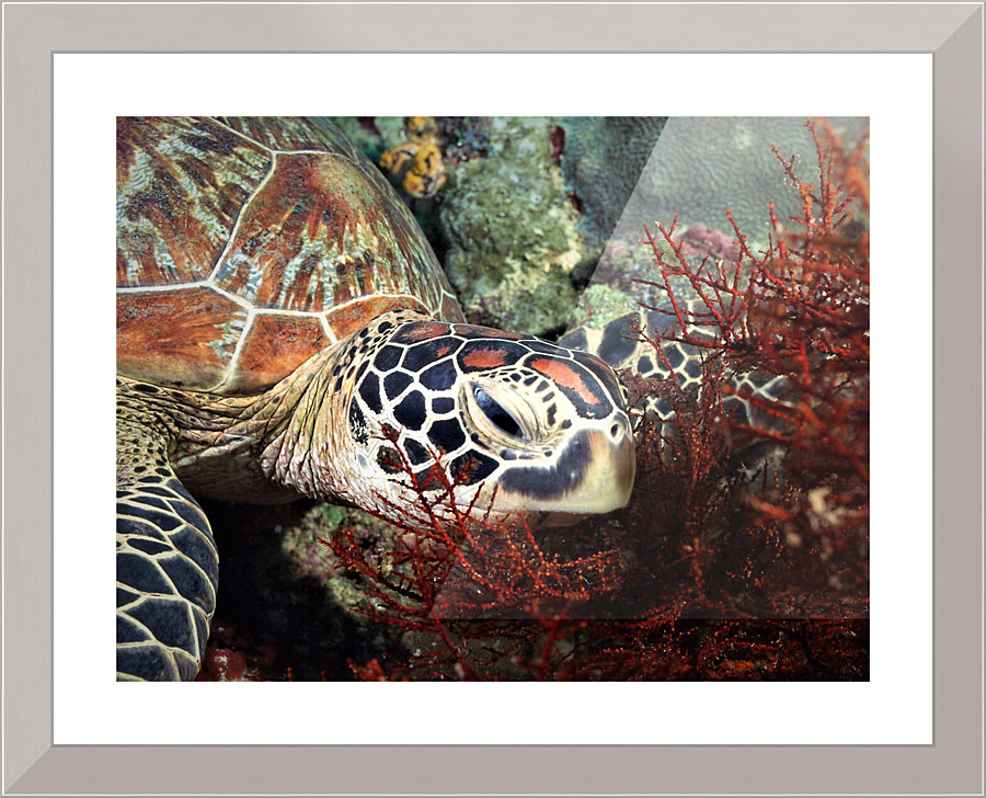 3063 Picture Frame print