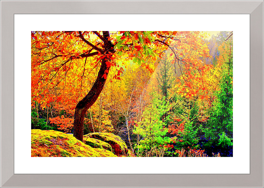 3153 Picture Frame print