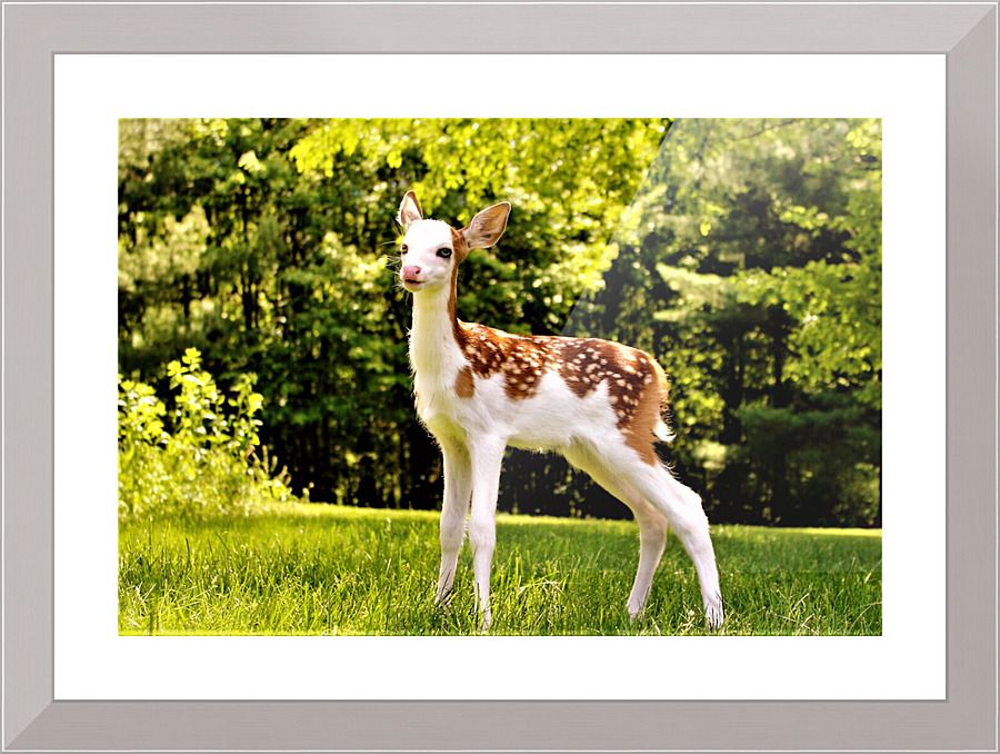 3157 Picture Frame print
