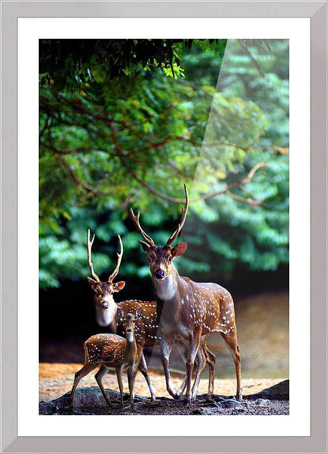 3199 Picture Frame print
