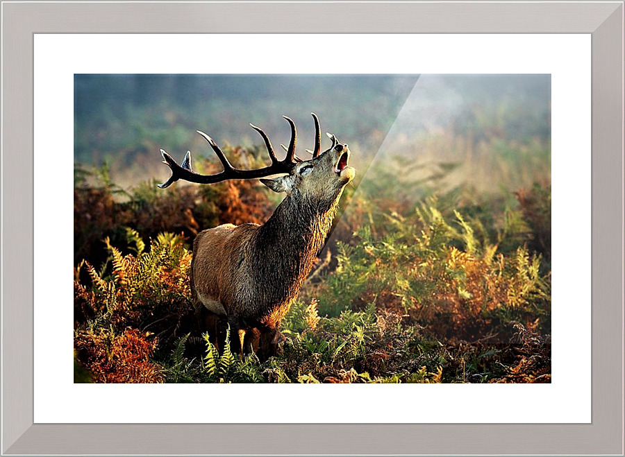 3254 Picture Frame print