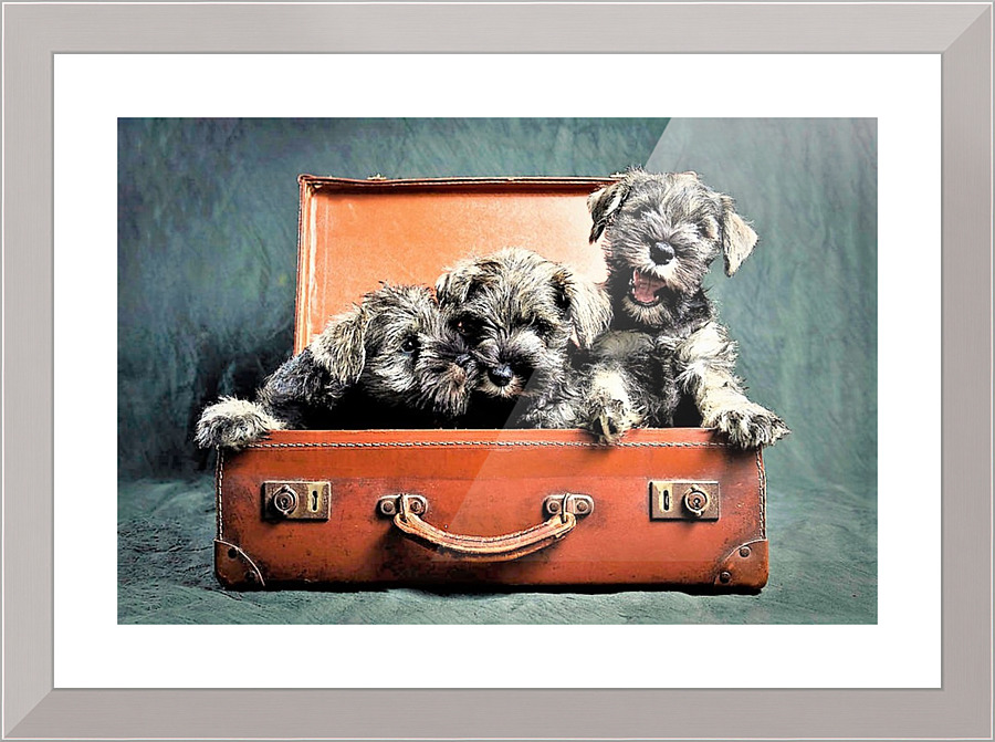 3281 Picture Frame print