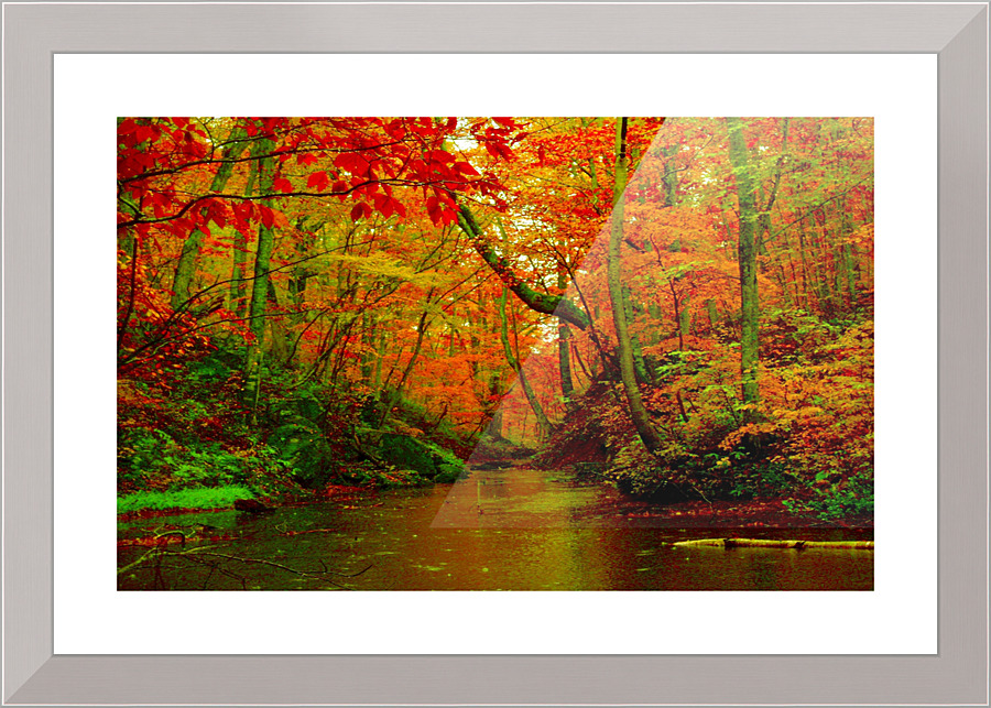 3285 Picture Frame print