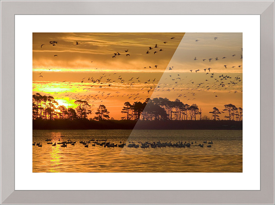 3305 Picture Frame print