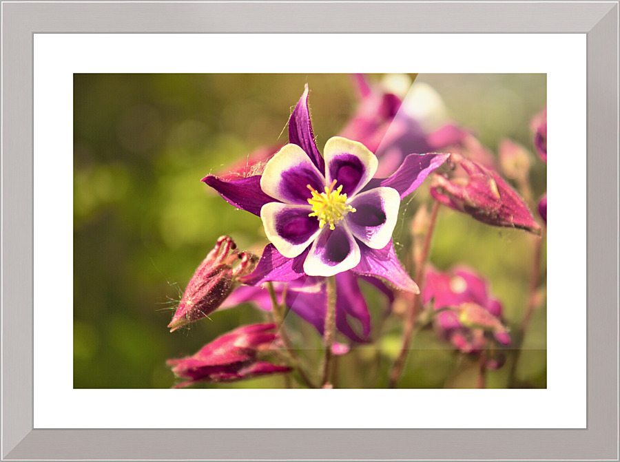 3324 Picture Frame print