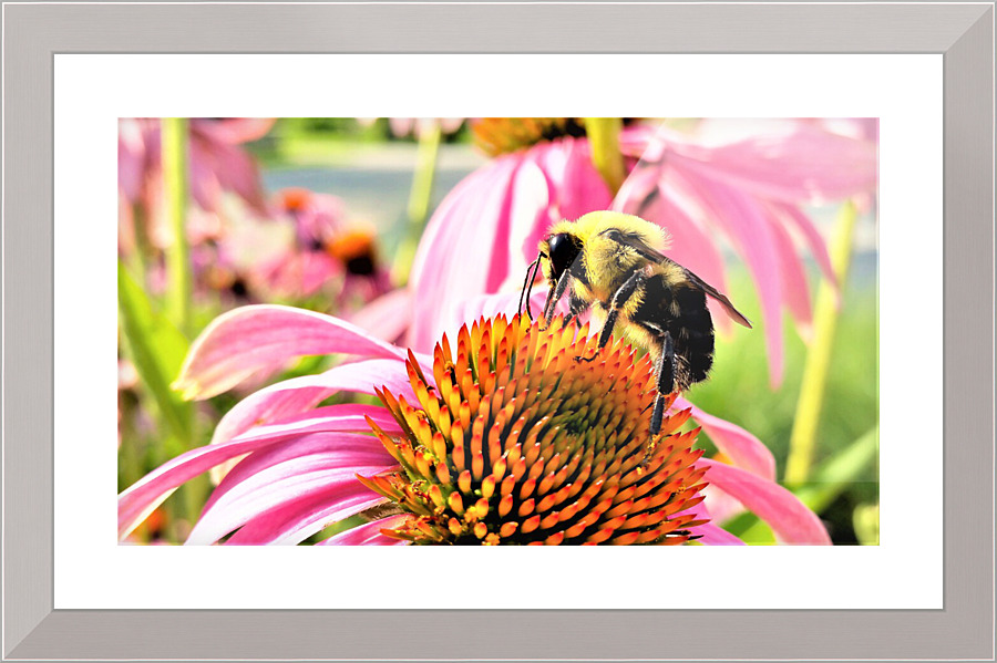 3329 Picture Frame print