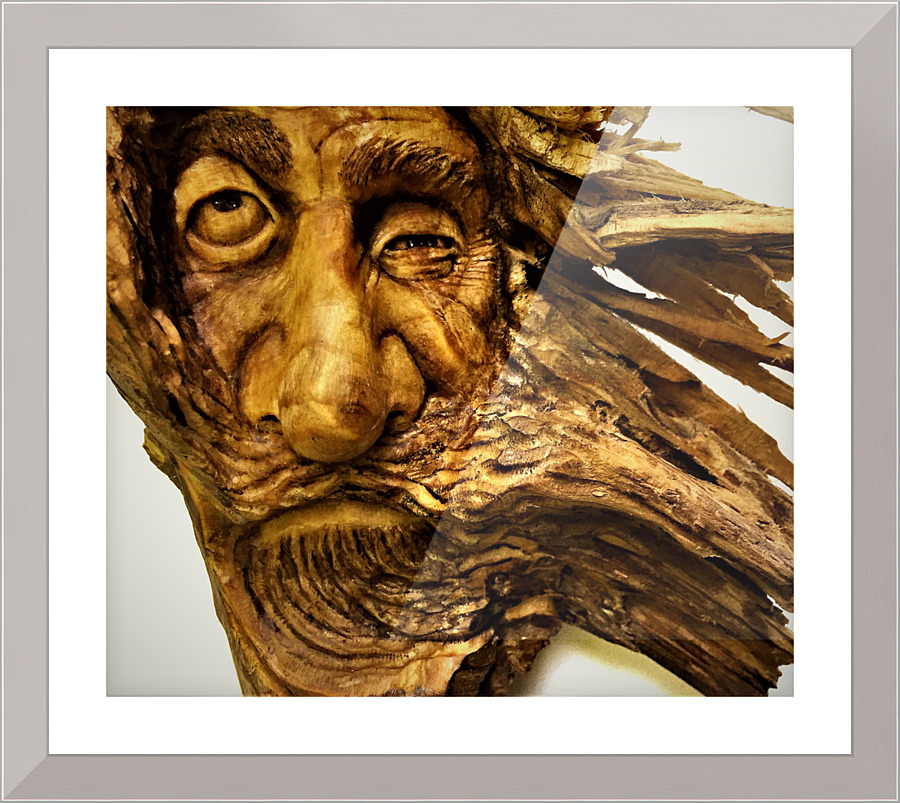 3342 Picture Frame print