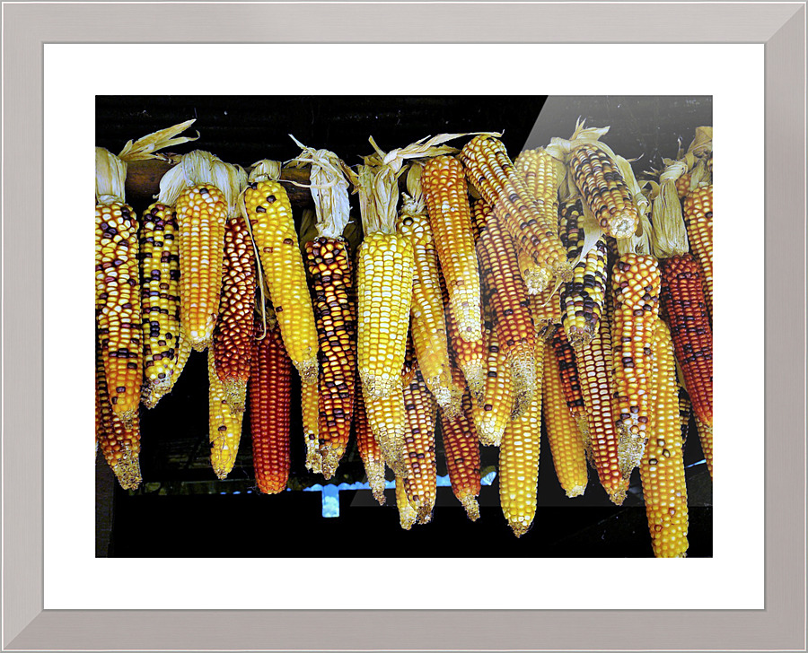 3385 Picture Frame print