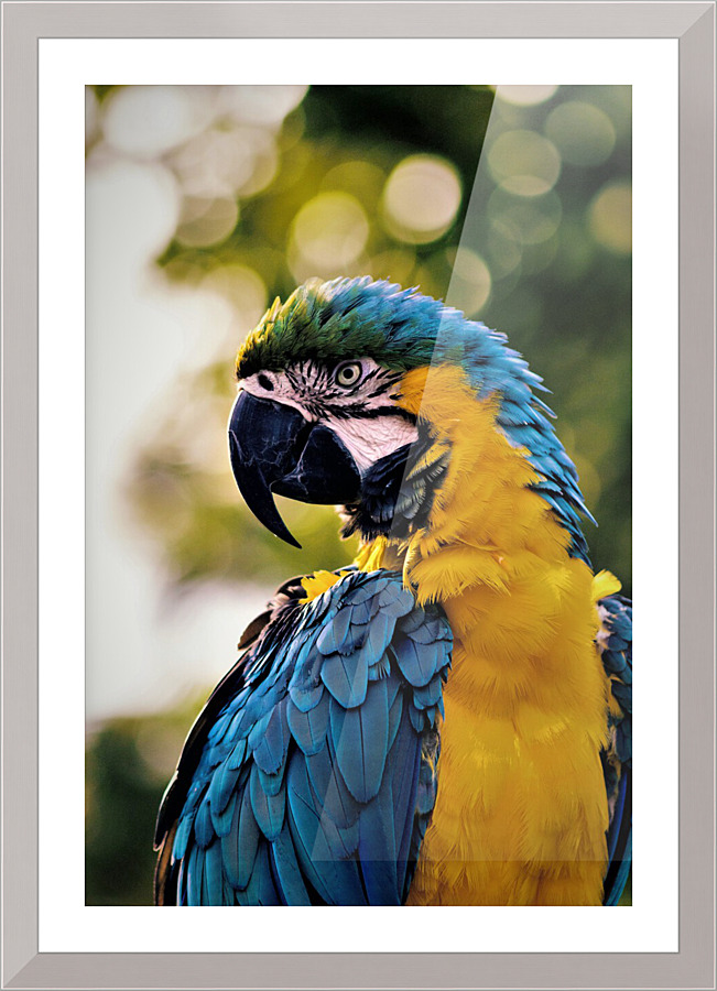 3419 Picture Frame print
