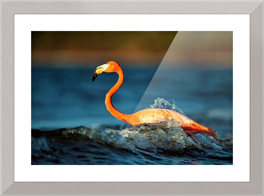 3431 Picture Frame print