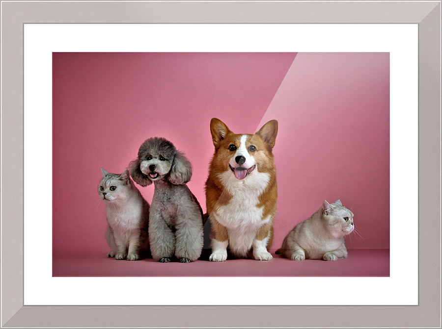 3432 Picture Frame print