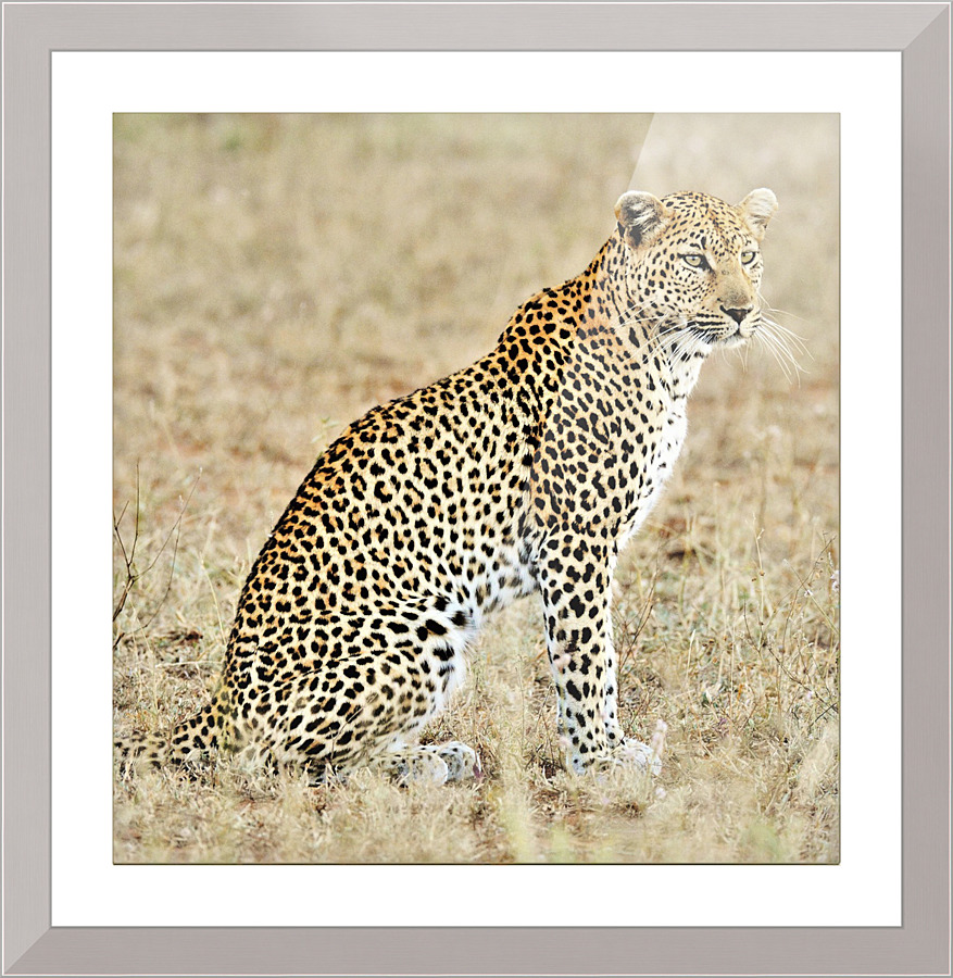 3441 Picture Frame print