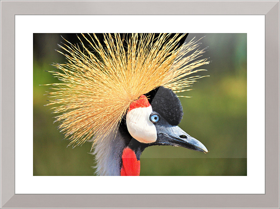 3442 Picture Frame print