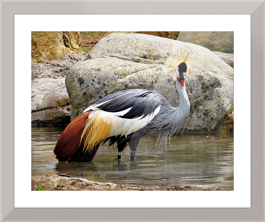 3444 Picture Frame print