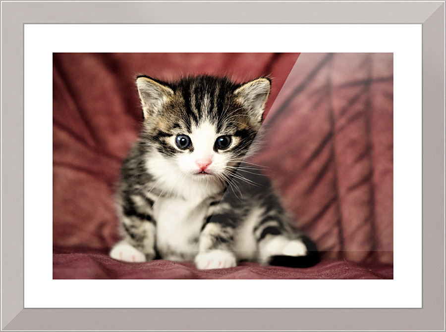 3445 Picture Frame print
