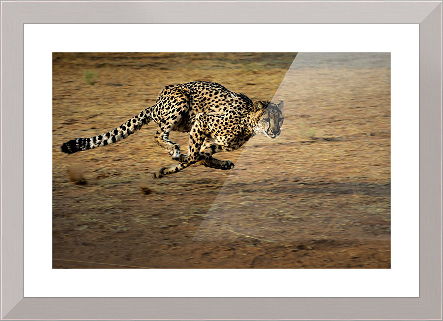 3460 Picture Frame print