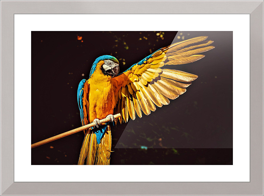 3500 Picture Frame print
