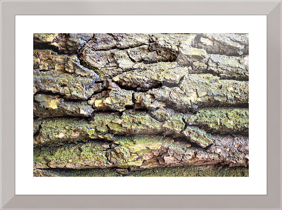 3508 Picture Frame print