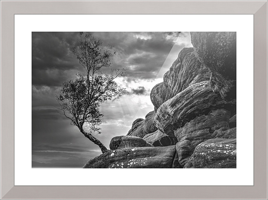 3513 Picture Frame print