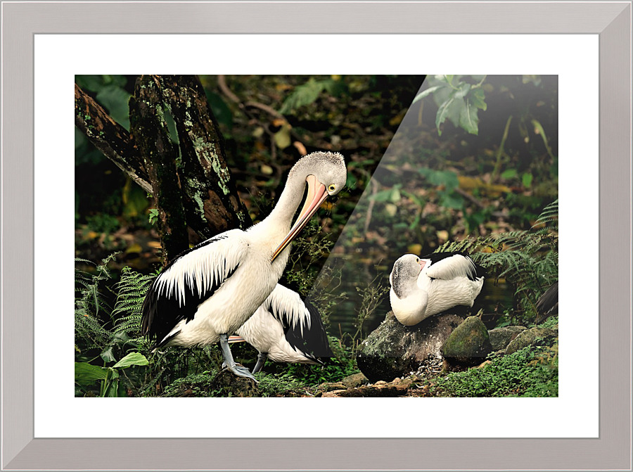 3514 Picture Frame print