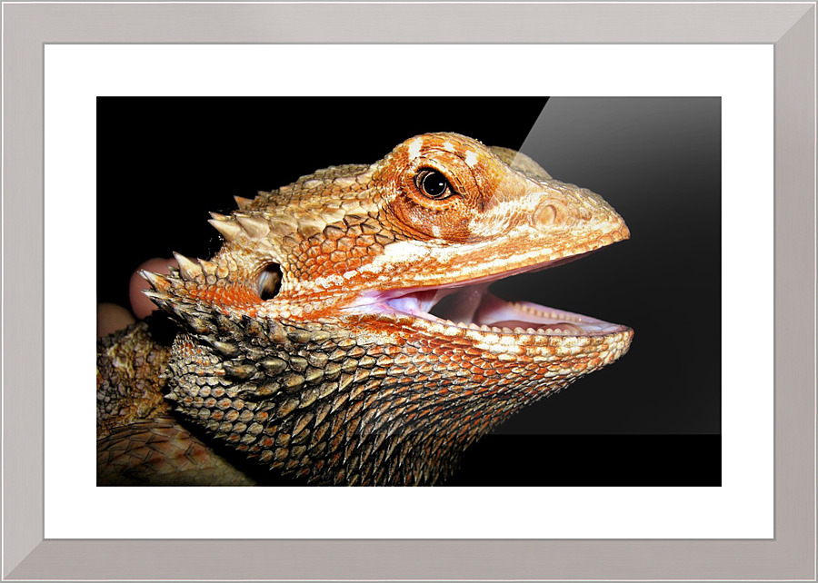 3515 Picture Frame print