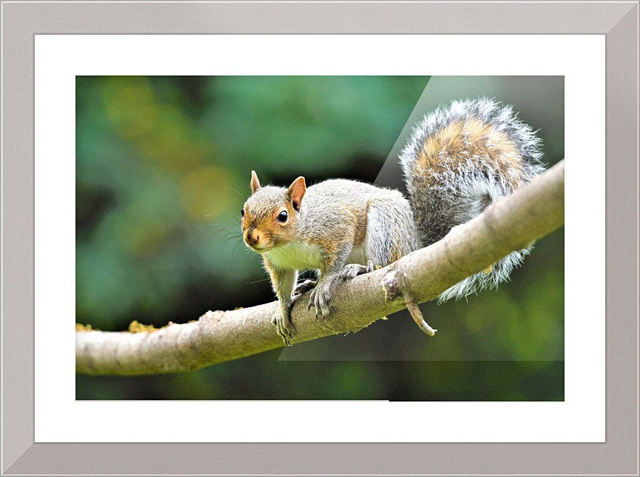 3516 Picture Frame print