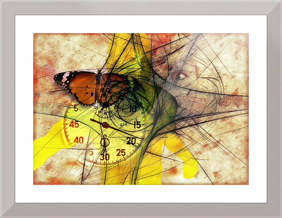 3517 Picture Frame print