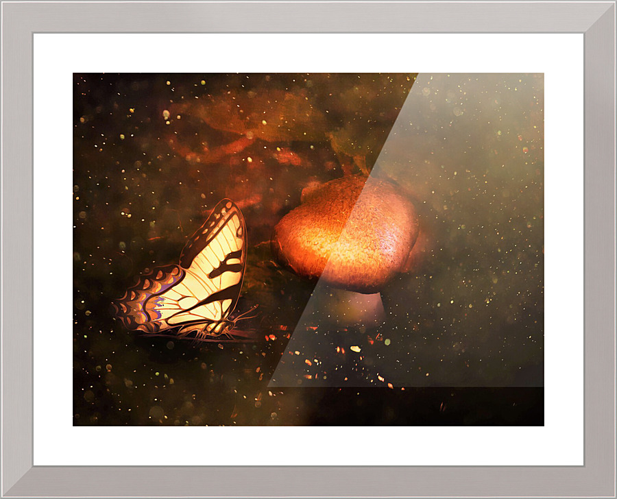 3521 Picture Frame print