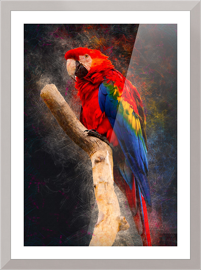 3536 Picture Frame print