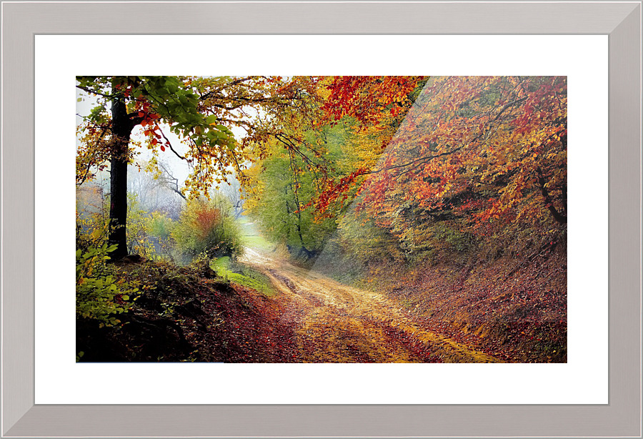 3566 Picture Frame print
