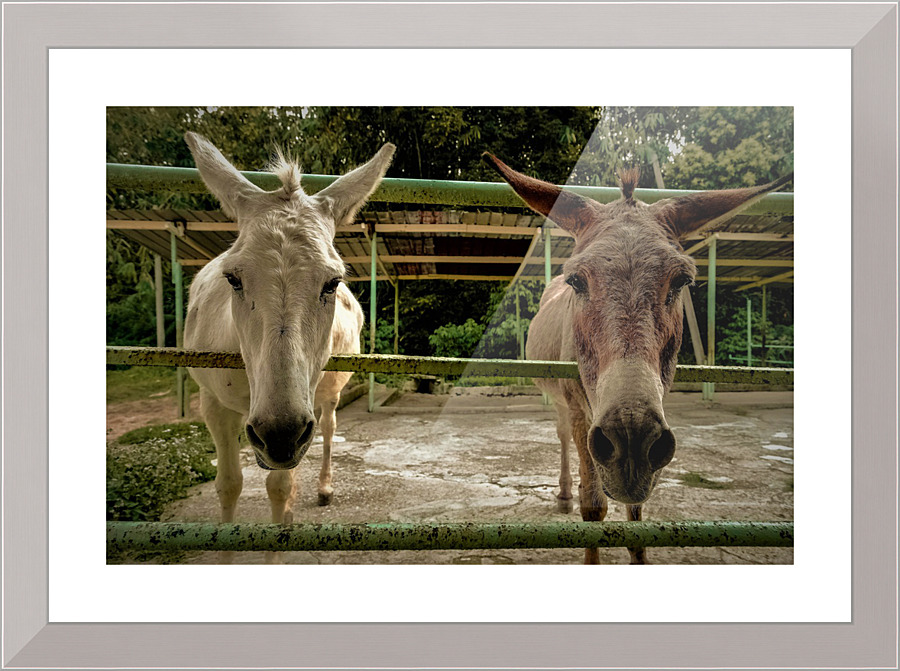 3567 Picture Frame print