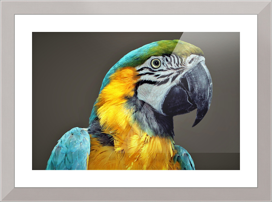 3569 Picture Frame print